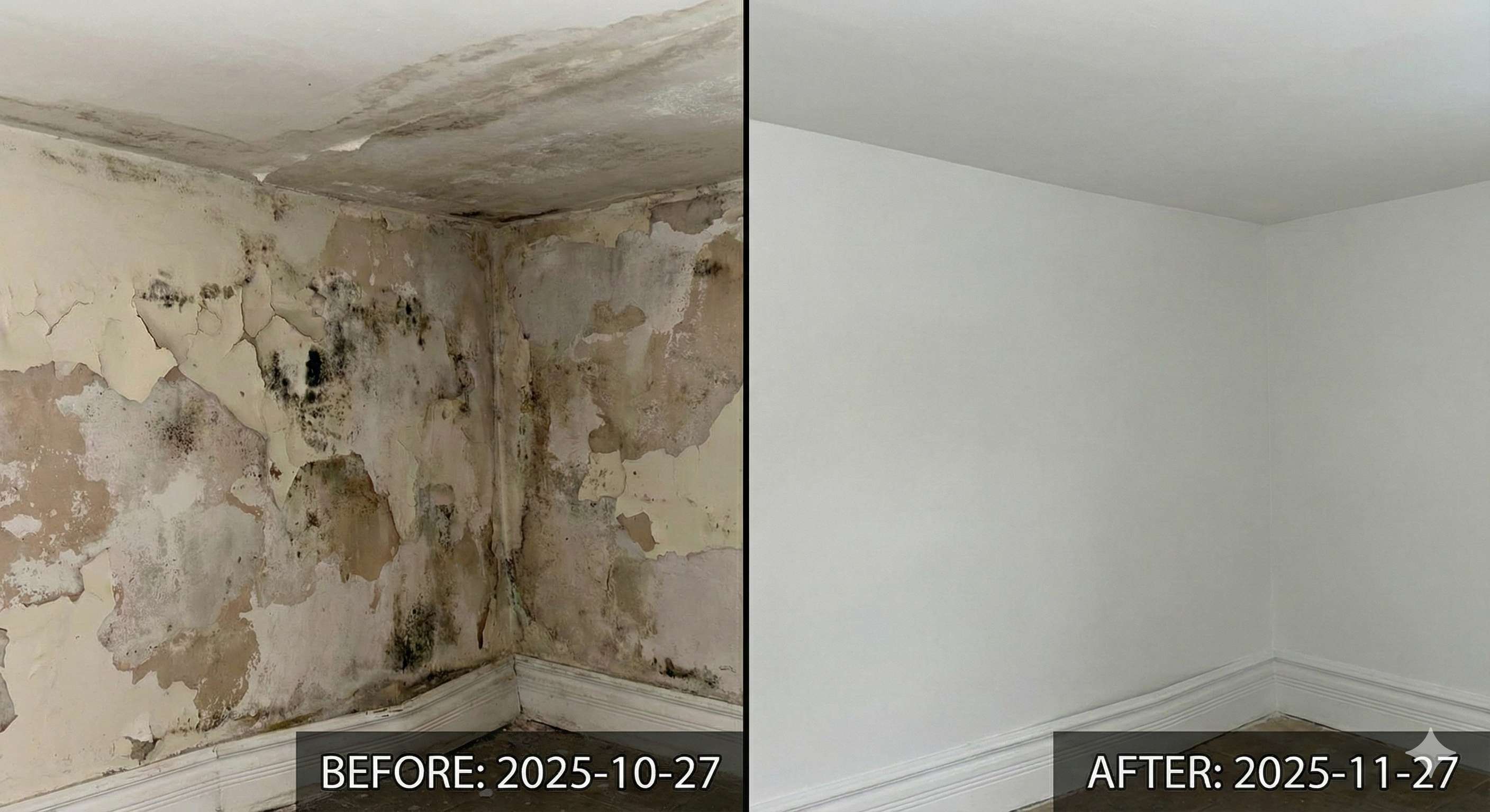 Trabajo de FixPro – Maestro multipropósito